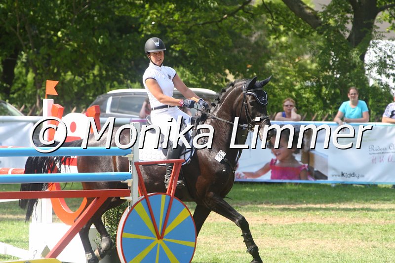 308M3752_Chellistin II B_Springpferde Mx.JPG